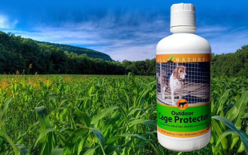 Outdoor Birding Natural Enzyme Products